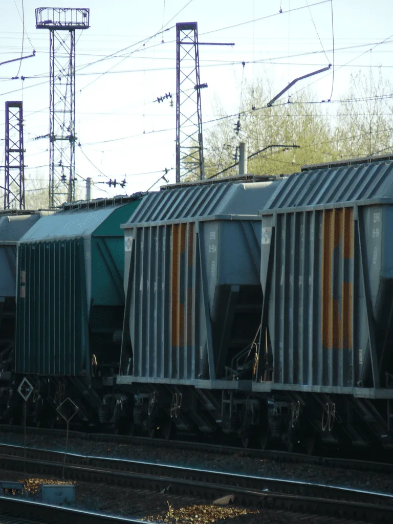 PhotograFurs Contest Winner for June 2024!