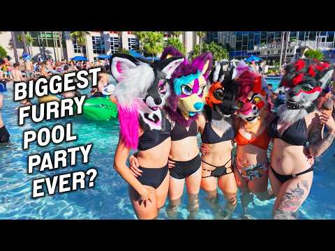 THE BIGGEST FURRY POOL PARTY EVER?!? – Megaplex 2024 Con Review Recap