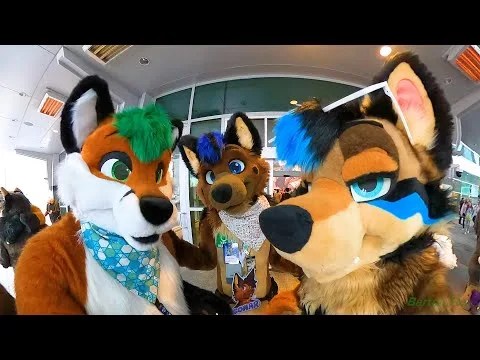 Anthro New England 2025 – Random Clips