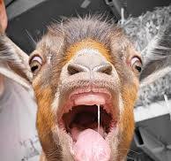 Allstate “Check First Neighbors” Commercial…