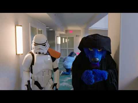 Fuzzballs: ACFI The Hotel Promo