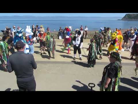 Little Red Riding Hood’s Scarborough Nightmare!